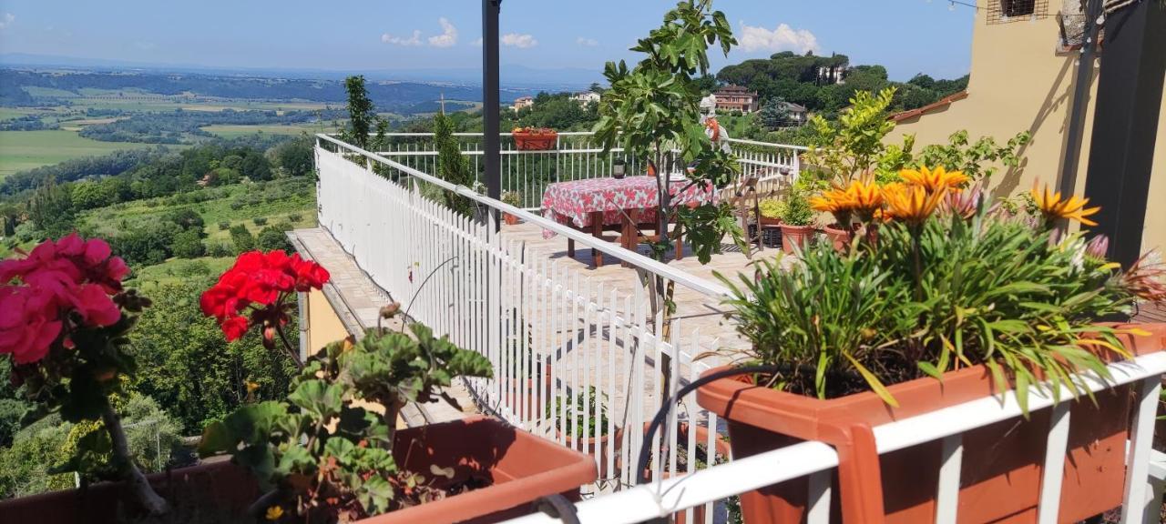 Stimigliano Casa In The Clouds Bed & Breakfast エクステリア 写真